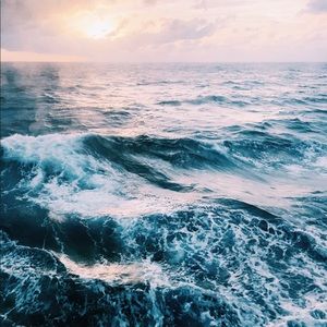 Meet your Posher, Leila